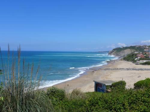 T1 Bis Mendi Eder Piscine Plage Apartment Saint-Jean-de-Luz Ngoại thất bức ảnh